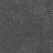 spotted-bluestone gezoet.jpg